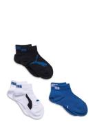 Puma Kids Bwt Quarter 3P Sukat Blue PUMA