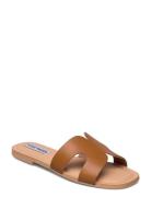 Zarnia Sandal Matalapohjaiset Sandaalit Brown Steve Madden