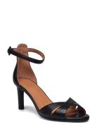 Sandals Korolliset Sandaalit Black Billi Bi