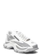 Zoomz Sneaker Matalavartiset Sneakerit Tennarit White Steve Madden