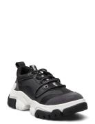 Adley Way Oxford Matalavartiset Sneakerit Tennarit Black Timberland