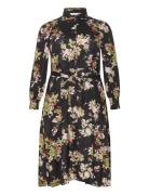 Kcnatalia Shirt Dress Polvipituinen Mekko Black Kaffe Curve