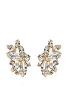 Havanna Earrings Gold Korvakoru Korut Gold Caroline Svedbom