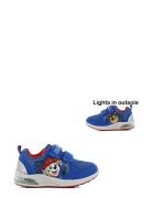 Pawpatrol Sneakers Matalavartiset Sneakerit Tennarit Blue Paw Patrol