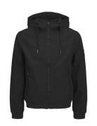 Jjebasic Softshell Hood Noos Ohut Takki Black Jack & J S