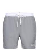 Starfish Uimashortsit Grey BOSS