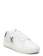 Classic Cupsole Laceup Matalavartiset Sneakerit Tennarit White Calvin ...