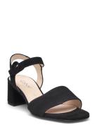 Ankle-Strap Sandal Korolliset Sandaalit Black Gabor