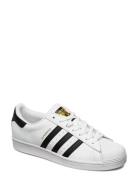 Superstar Sport Sneakers Low-top Sneakers White Adidas Originals