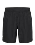 Club Short Sport Shorts Sport Shorts Black Adidas Performance