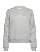 Coco Print Crew Tops Sweat-shirts & Hoodies Sweat-shirts Grey HOLZWEIL...