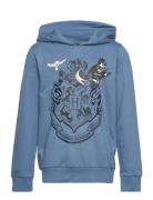 Lwstorm 105 - Sweat Hoodie Tops Sweat-shirts & Hoodies Hoodies Blue LE...