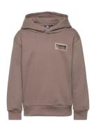 Hmldare Hoodie Sport Sweat-shirts & Hoodies Hoodies Brown Hummel