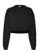 Pro Cropped Sweat O'neck Tops Sweat-shirts & Hoodies Sweat-shirts Blac...