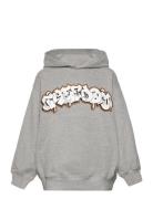 Maxx Tops Sweat-shirts & Hoodies Hoodies Grey Molo