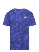 Lk Camlog Tee Sport T-shirts Short-sleeved Blue Adidas Performance