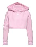 Jg D Crpd Hdy Sport Sweat-shirts & Hoodies Hoodies Pink Adidas Perform...