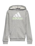 U Bl 2 Hoodie Sport Sweat-shirts & Hoodies Hoodies Grey Adidas Perform...