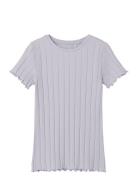 Nkfnoralina Ss Top Noos Tops T-shirts Short-sleeved Purple Name It