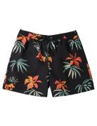 Everyday Mix Volley 15 Uimashortsit Black Quiksilver