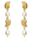 Shell Pearl Earrings Korvakoru Korut Gold Caroline Svedbom