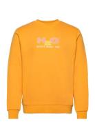 Logo Sweat O'neck Tops Sweat-shirts & Hoodies Sweat-shirts Orange H2O