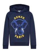 Hooded Sweatshirt Tops Sweat-shirts & Hoodies Hoodies Navy Kenzo