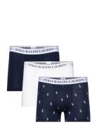 Classic Stretch-Cotton Trunk 3-Pack Bokserit Navy Polo Ralph Lauren Un...