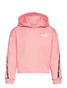 Ess Tape Hoodie Fl G Sport Sweat-shirts & Hoodies Hoodies Pink PUMA