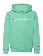 Hooded Sweatshirt Sport Sweat-shirts & Hoodies Hoodies Green Champion