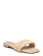 Allure Sandal Matalapohjaiset Sandaalit Cream Steve Madden