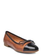 Ballerina Ballerinat Brown Billi Bi