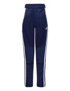 Tiro24 Winpty Sport Sweatpants Navy Adidas Performance