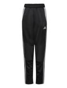 Tiro24 Winpty Sport Sweatpants Black Adidas Performance