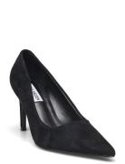 Prophecy Pump Shoes Heels Pumps Classic Black Steve Madden