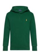 Seasonal Fleece-Ls Po Hood-Tp-Knt Tops Sweat-shirts & Hoodies Hoodies ...