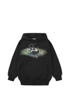 Maxx Tops Sweat-shirts & Hoodies Hoodies Black Molo