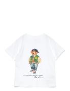 Polo Bear & Big Pony Cotton Tee Tops T-shirts Short-sleeved White Ralp...