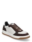 Ace Sneaker Matalavartiset Sneakerit Tennarit Brown Steve Madden