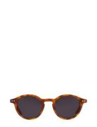 Lia Havana Black Aurinkolasit Black Corlin Eyewear