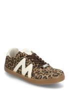 Escapade Sneaker Matalavartiset Sneakerit Tennarit Brown Steve Madden