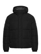 Jjebradley Puffer Hood Sn Vuorillinen Takki Topattu Takki Black Jack &...