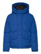 Jjworld Puffer Jacket Mni Toppatakki Blue Jack & J S