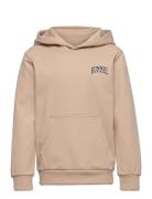 Hmlfast Hoodie Tops Sweat-shirts & Hoodies Hoodies Pink Hummel