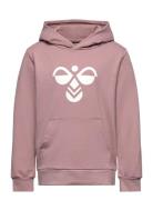 Hmlcuatro Hoodie Sport Sweat-shirts & Hoodies Hoodies Pink Hummel