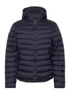 Hooded Fuji Sport Padded Jkt Ohut Takki Navy Superdry