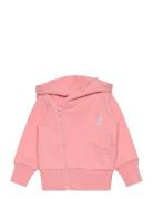 Classic Hoodie Tops Sweat-shirts & Hoodies Hoodies Pink Gugguu