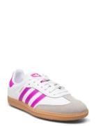 Samba Og J Sport Sneakers Low-top Sneakers Pink Adidas Originals