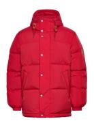 Winter Down Puffer Vuorillinen Takki Topattu Takki Red GANT