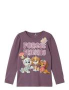 Nmfsusanne Pawpatrol Ls Top Box Cplg Tops T-shirts Long-sleeved T-shir...